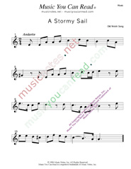 "A Stormy Sail," Music Format